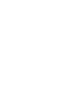 kingston  logo